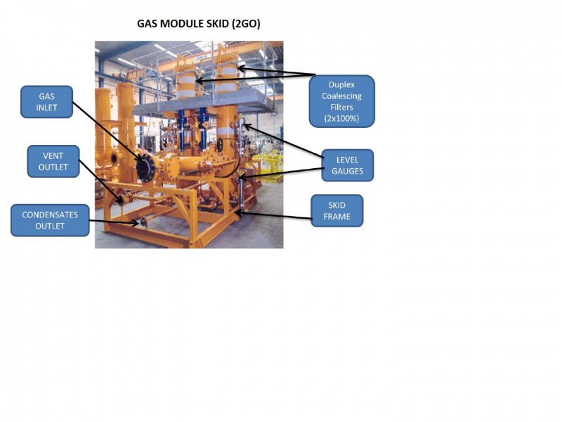 DLN Fuel Module FR9E